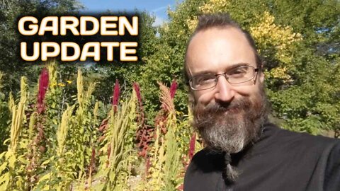 Garden Update - September 23rd 2022