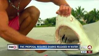 Ban on dragging sharks onto Florida beaches by anglers considered