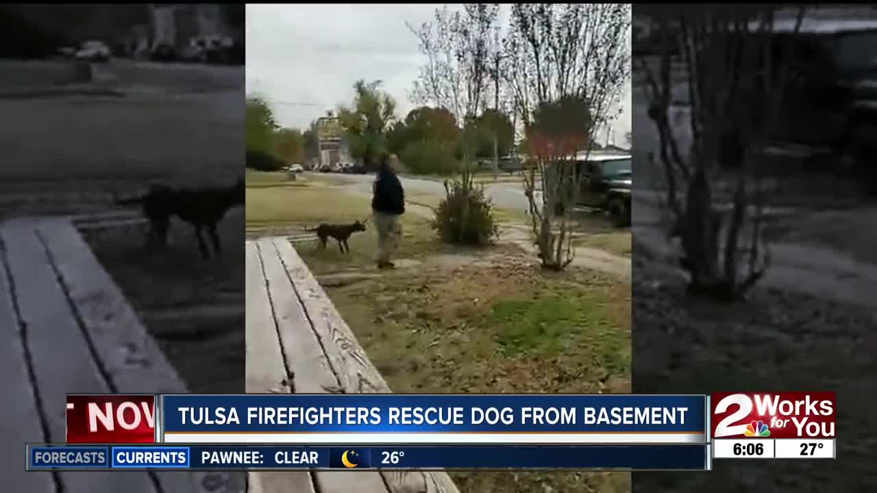 Tulsa Firefighters rescue dog from basement