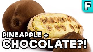 A Fruit that Tastes like CHOCOLATE + PINEAPPLE!? | Cupuacu | Fruits You've Never Heard Of
