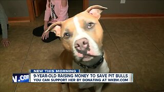 9-year-old girl from Lakeview wants to help pit bulls