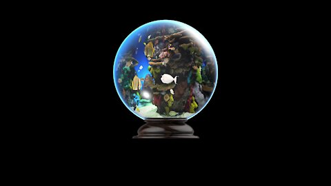 Digital Crystal ball Aquarium