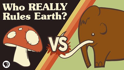 Which Life Form REALLY Dominates Earth?