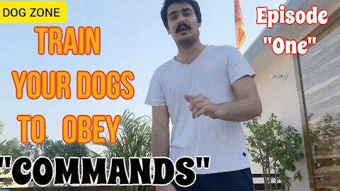 HOW TO TRAIN YOUR DOG TO OBEY COMMANDS[Episode 1]
