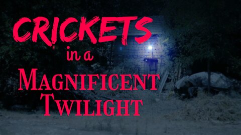 Crickets in a Magnificent Twilight | 15 Minutes of Twilight | Ambient Sound | What Else Is There?