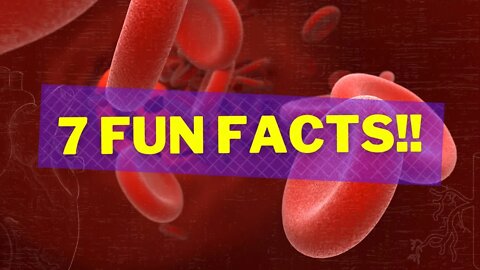 7 Fun Facts About Your Blood You Didn't Know