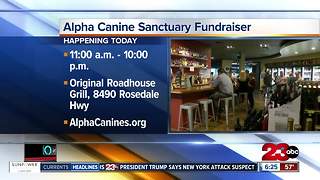 Alpha Canine Sanctuary Fundraiser