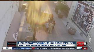 Burglary caught on surveillance video