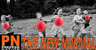 The New Normal - Get Ready for SHTF Summer