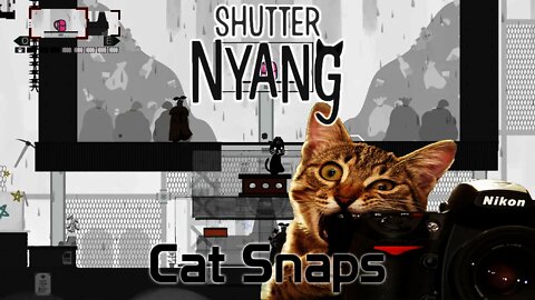 Shutter Nyang - Cat Snaps