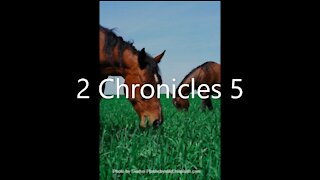 2 Chronicles 5 | KJV | Click Links In Video Details To Proceed to The Next Chapter/Book