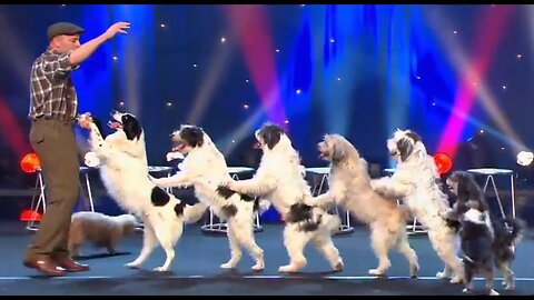 Wolfgang Lauenburger - Dressage de Chiens - Le Plus Grand Cabaret Du Monde