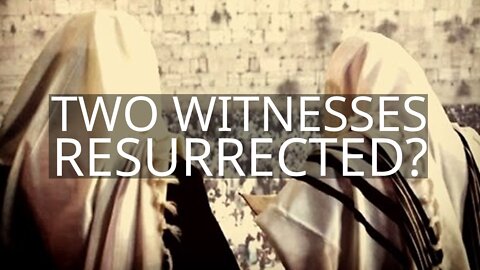 Why Are The Two Witnesses Resurrected?