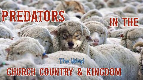 Predators in The Kingdom, Country and Church