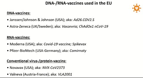 Peter Borger on DNA- / RNA-vaccines - Science Summit Uncensored 2022