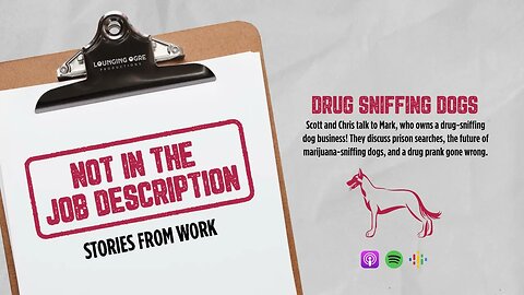 Drug Sniffing Dogs