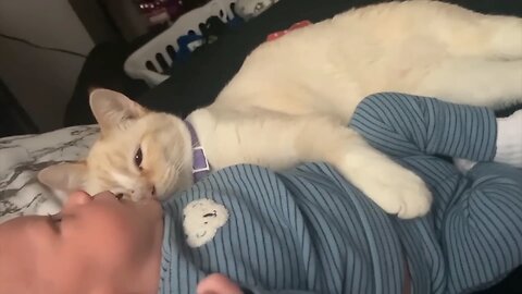 The cat loves baby sleep