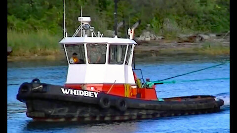 IECV TATA #18 | 👀 TugBoat Pulling The Sawdust Bin 11-1-2014