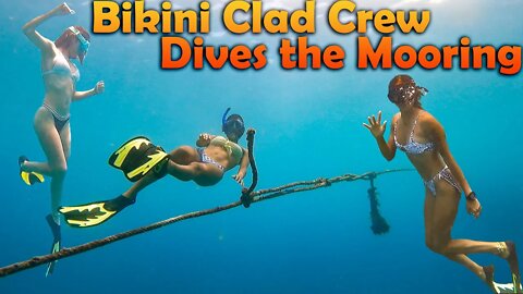 Bikini Clad Crew Dives the Mooring - S7:E14