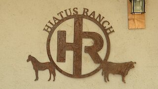 Hiatus Ranch Auction