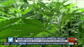 Arvin Planning Commission approves cannibis project