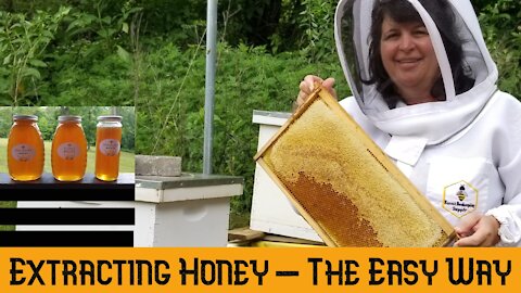 Extracting Honey - The Easy Way