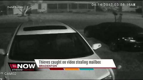 Thieves caught on video stealing mailbox