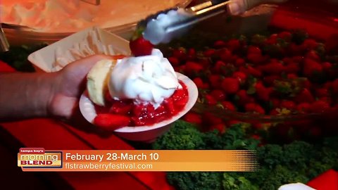 Florida Strawberry Festival | Morning Blend