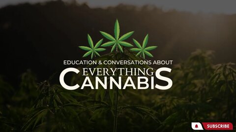 A Game of Puzzle: Everything Cannabis