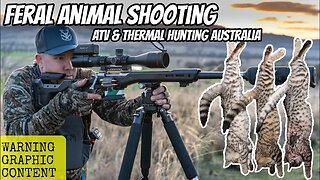 BEST Feral Cat Hunt of My Life! Day and Night with a Vertebrate Pest Controller - Pig & Fox Shooting