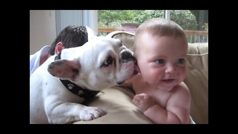 Rumble / Babies & Kids — Try Not to Laugh with Funny Baby vs funny dog Video - Best Baby Videos