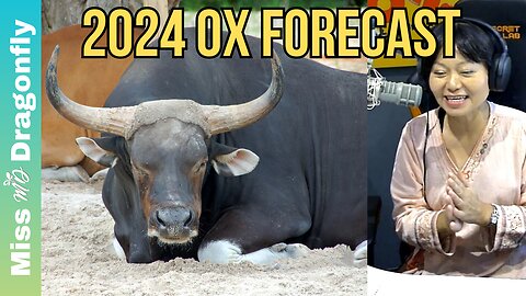 2024 Year Of The Dragon Zodiac Forecast | OX