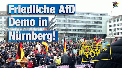 Friedliche AfD-Demo in Nürnberg