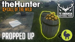 The Hunter: Call of the Wild, Propped Up, Te Awaroa- PS5 4K