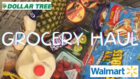 HAUL | lots of grocery shopping | melissajackson07