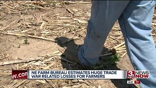 Nebraska Farm Bureau estimates huge trade dispute losses to Nebraska farmers