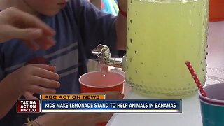 Tampa brothers raise money for Bahamas with lemonade stand