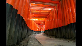 An Old Otaku Tours Japan in VR - Fushimi Inari-taisha