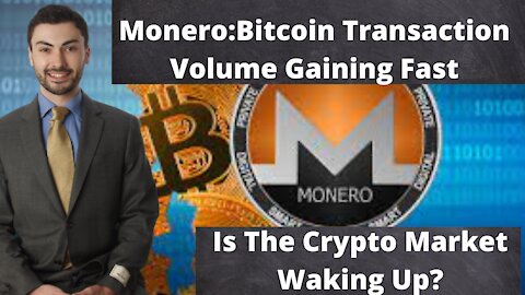 Monero Transaction Volume Now 17.5% of Bitcoin's. Is The Crypto Market Waking Up? Privacy Coins Gain