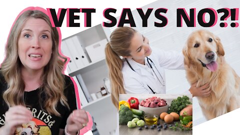 What To Do When Your Vet Is Against Raw Feeding