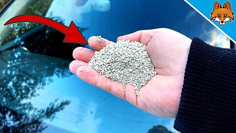 Spread CAT LITTER in your Car and WATCH WHAT HAPPENS 💥 (Unbelievable) 🤯