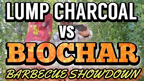Unveiling the Winner: Store Bought CHARCOAL vs Homemade BIOCHAR Showdown!