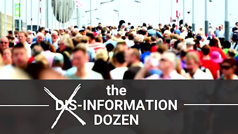 Who are the Dis-Information Dozen?