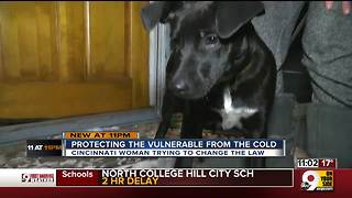 Protecting vulnerable pets from the cold