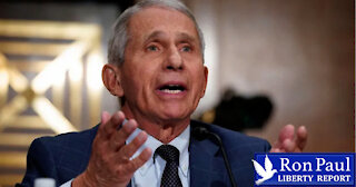 Fauci In The Hot Seat: Did He Lie To Congress?