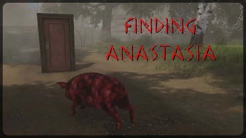 Finding Anastasia (Part 1) - Welcome to the Island of Mystery, Death and Inside Out Pigs