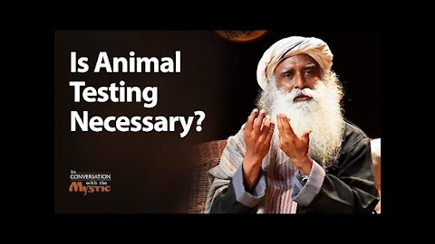 Is Animal testing Necessary?