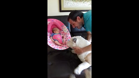 Bulldogs introduced to newborn baby girl