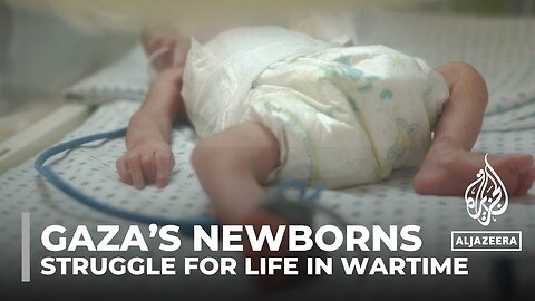 Gaza's premature babies: Newborns struggle for life in wartime