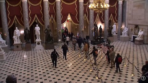 Capitol Building Protestors Stay within Velvet Rope as Police Stand By